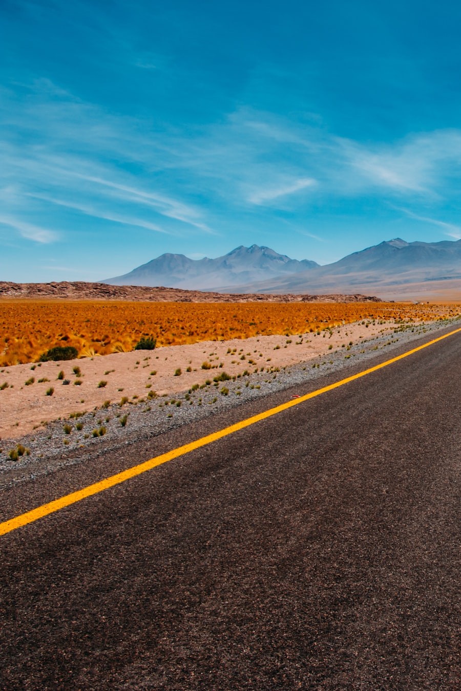 Comic cover image for Wild Hearts